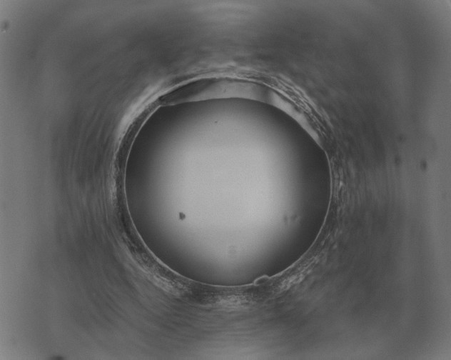 X0000076090344200610061646