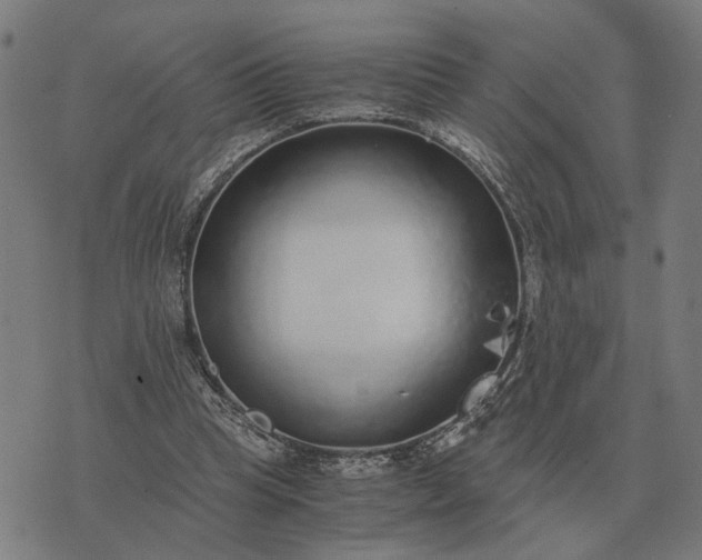 X0000076090345200610061646