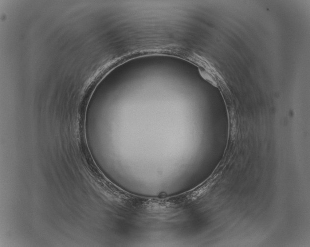 X0000076090346200610061647