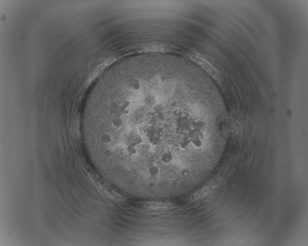 X0000076090347200610061647