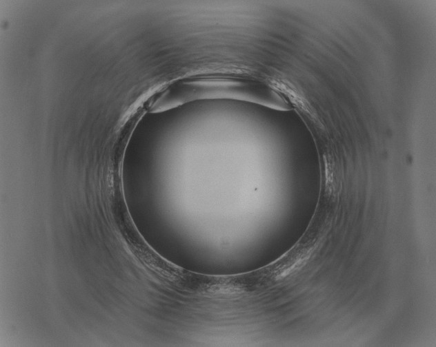 X0000076090348200610061647