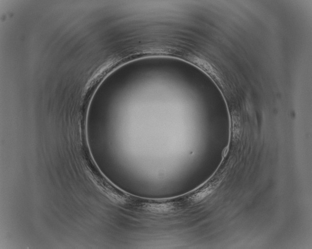 X0000076090349200610061647