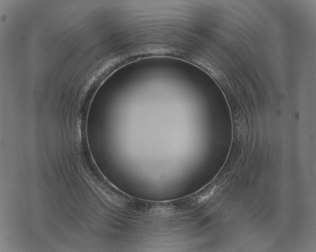 X0000076090350200610061647