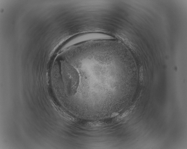 X0000076090351200610061647