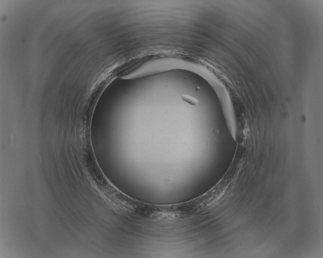 X0000076090352200610061647