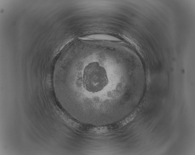 X0000076090353200610061647