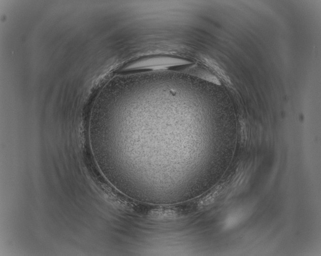 X0000076090354200610061647