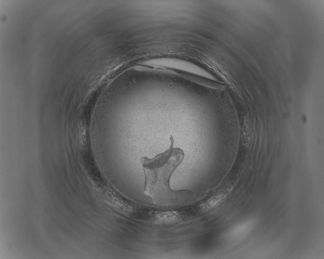 X0000076090355200610061647