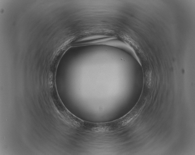 X0000076090356200610061647