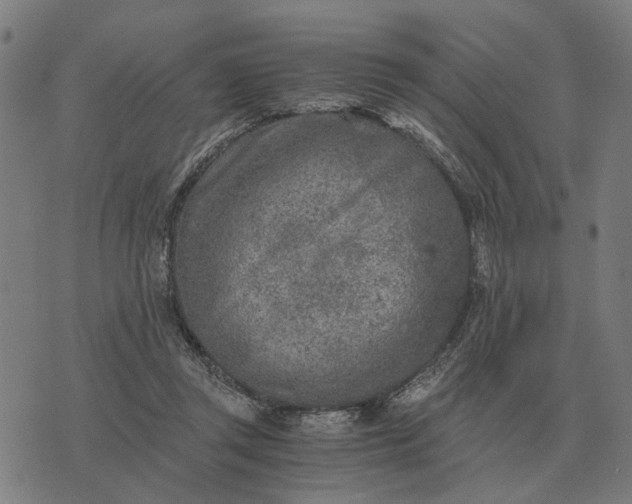 X0000076090357200610061647