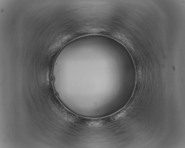 X0000076090358200610061647