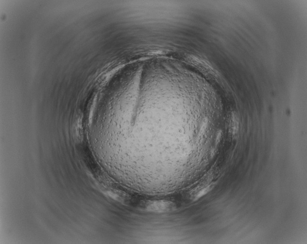 X0000076090360200610061647