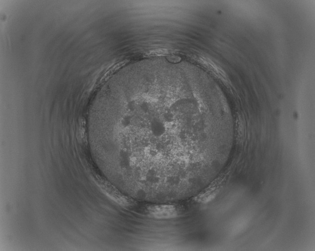 X0000076090361200610061647