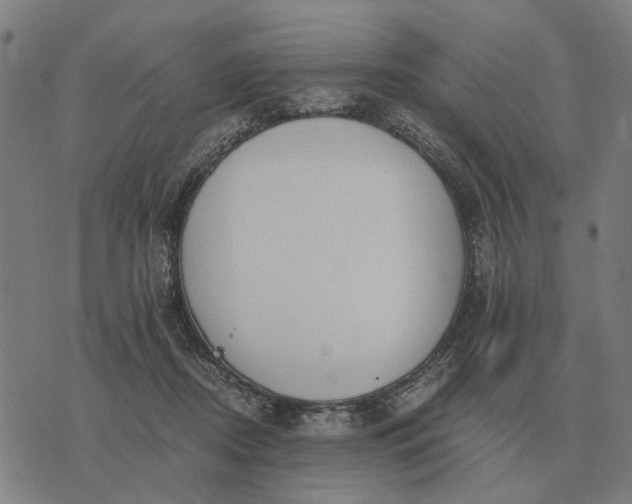 X0000076090362200610061647