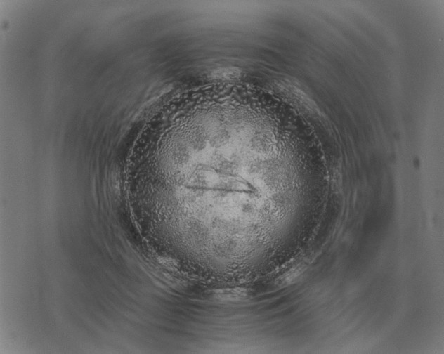 X0000076090363200610061647