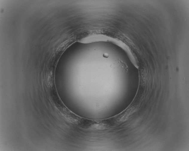 X0000076090364200610061647