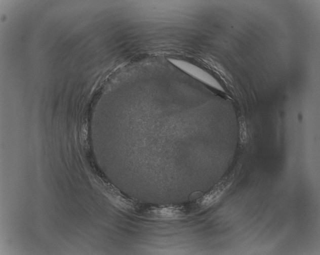 X0000076090365200610061647