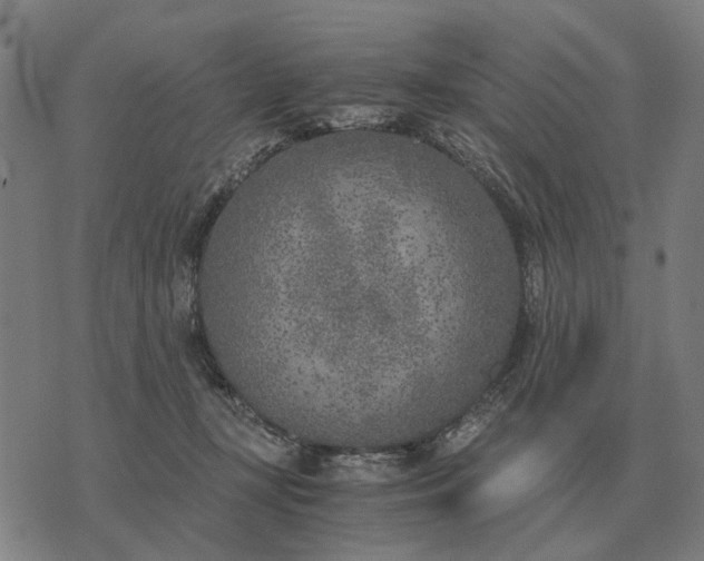 X0000076090367200610061647