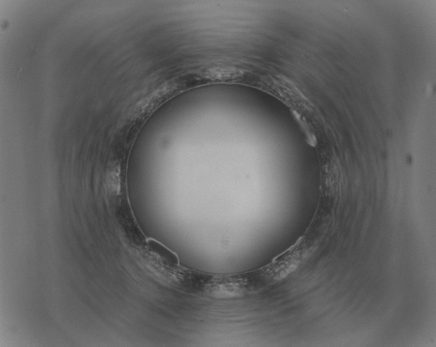 X0000076090368200610061647