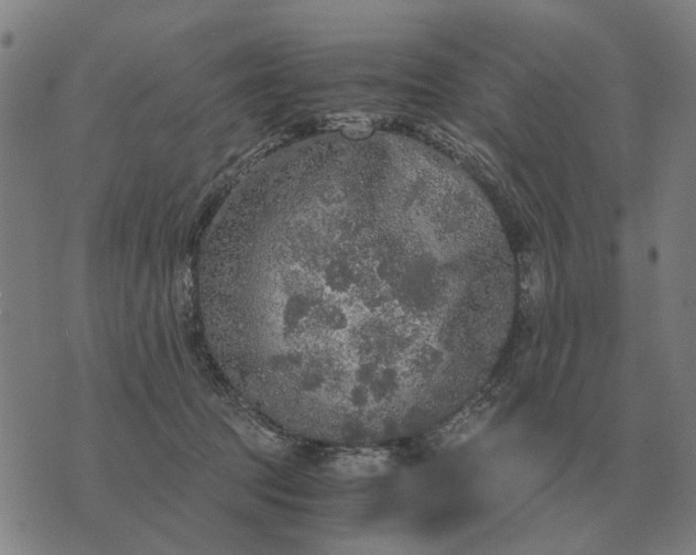 X0000076090369200610061647