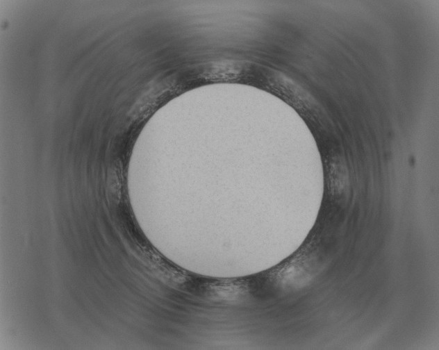 X0000076090370200610061647