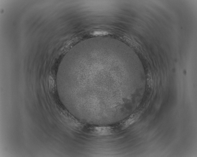 X0000076090371200610061647