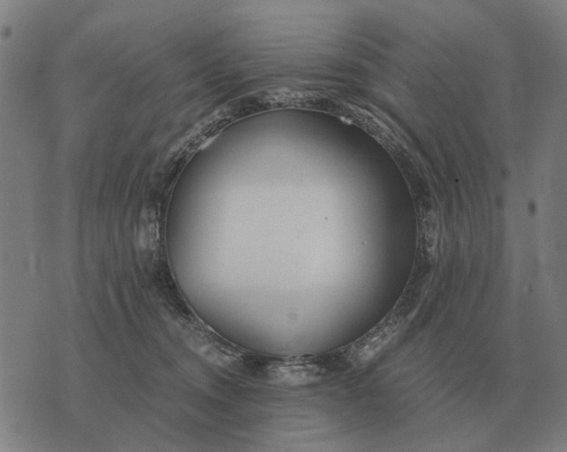 X0000076090372200610061647