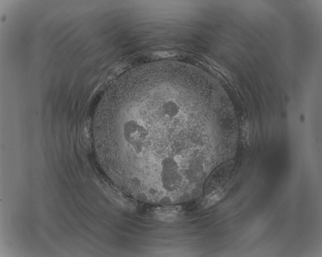 X0000076090373200610061647