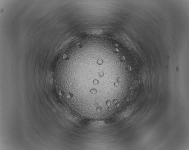 X0000076090374200610061647