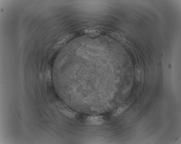 X0000076090375200610061647