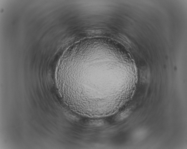 X0000076090377200610061647