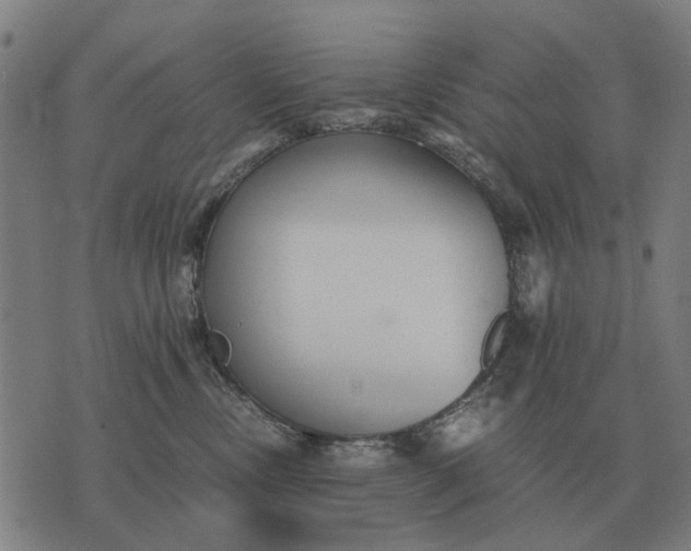 X0000076090378200610061647