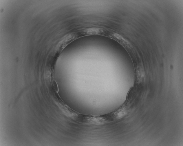 X0000076090379200610061647