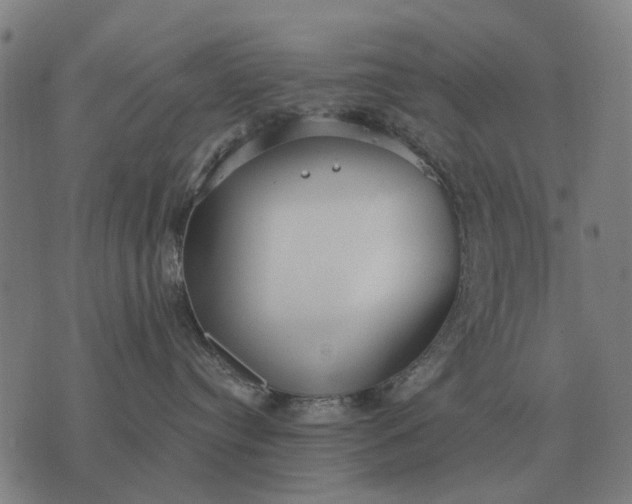 X0000076090384200610061647