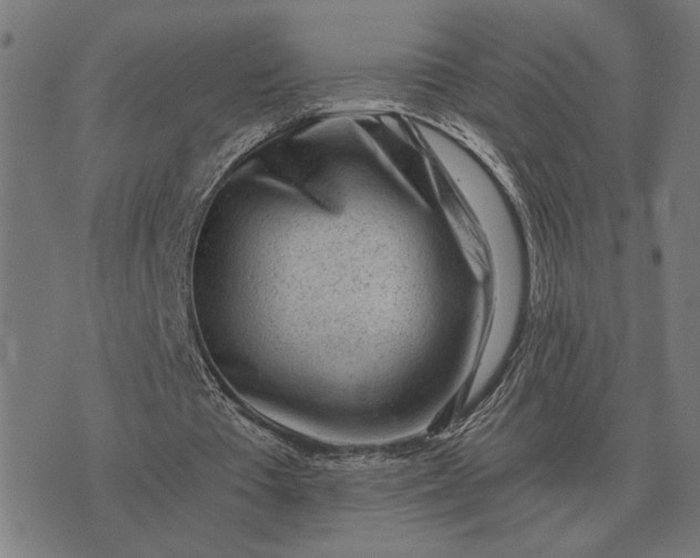 X0000076090385200610061646