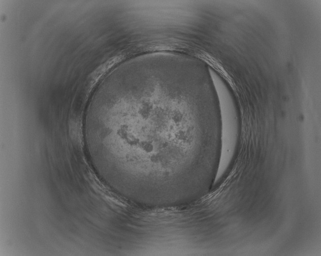 X0000076090386200610061646