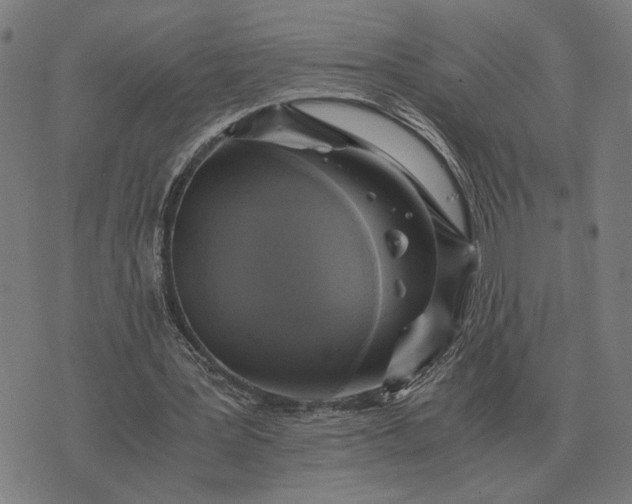 X0000076090387200610061646