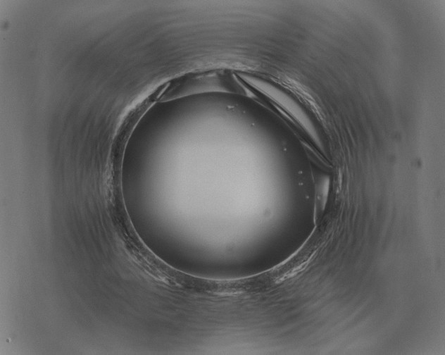 X0000076090388200610061646