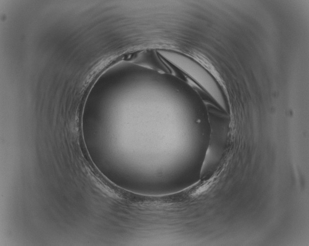 X0000076090389200610061646