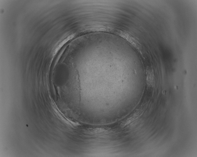 X0000076090390200610061646