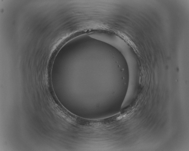 X0000076090391200610061646