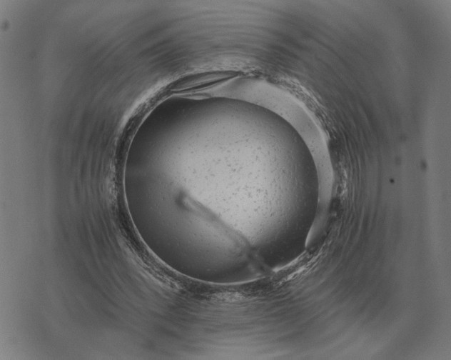 X0000076090392200610061646