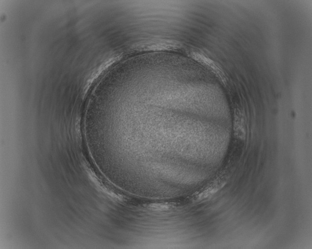 X0000076090394200610061646