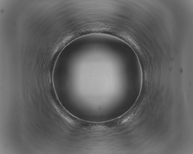 X0000076090397200610061646