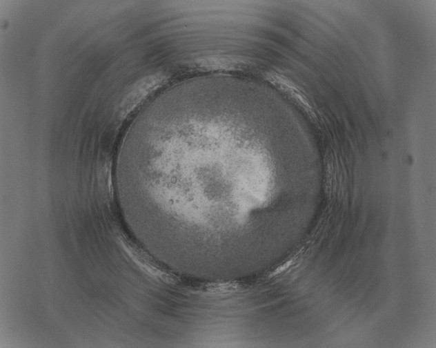 X0000076090398200610061646