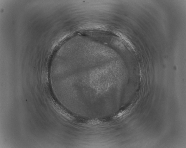 X0000076090399200610061646