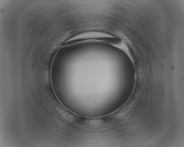 X0000076090401200610061646