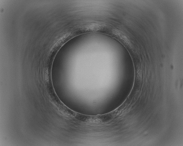 X0000076090403200610061646