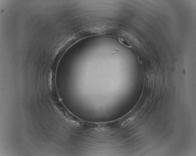 X0000076090404200610061646