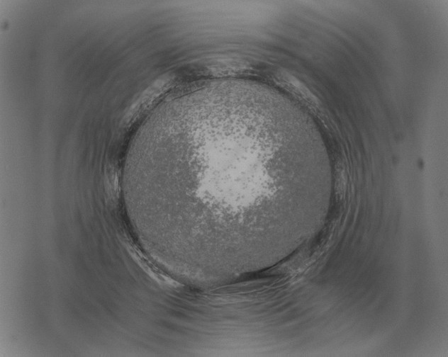 X0000076090405200610061646